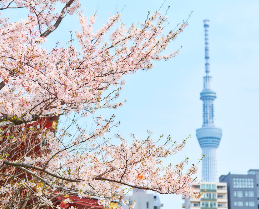 Tokyo Skytree