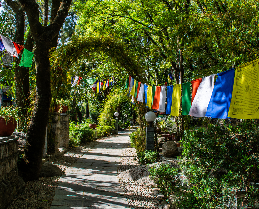 Dharamshala Palampur Holiday Package