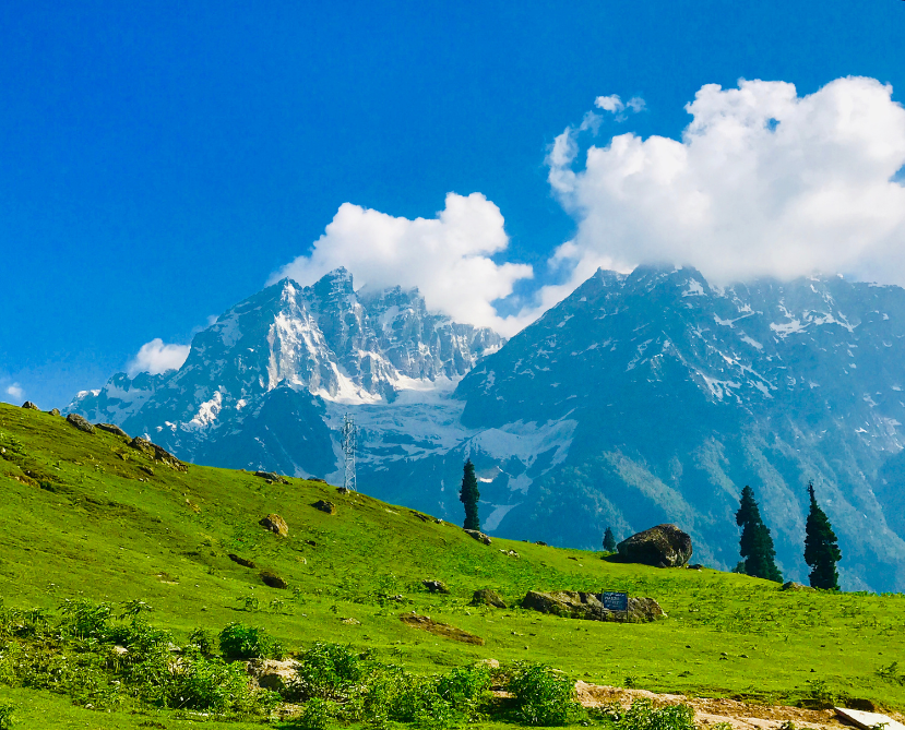 Srinagar