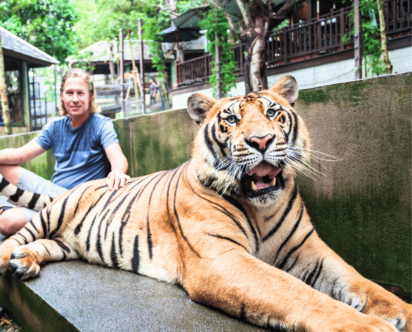 Tiger Topia Zoo visit