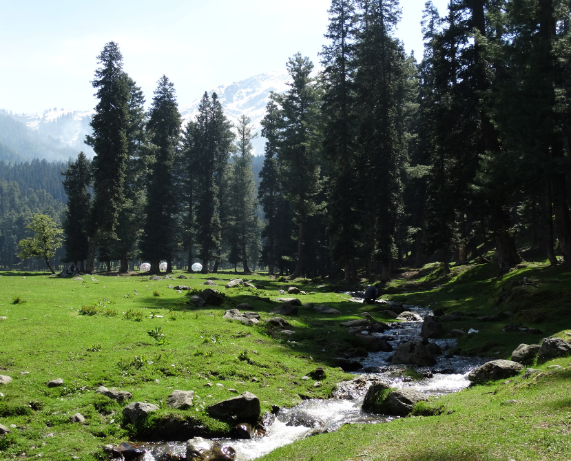 Kashmir valley tour
