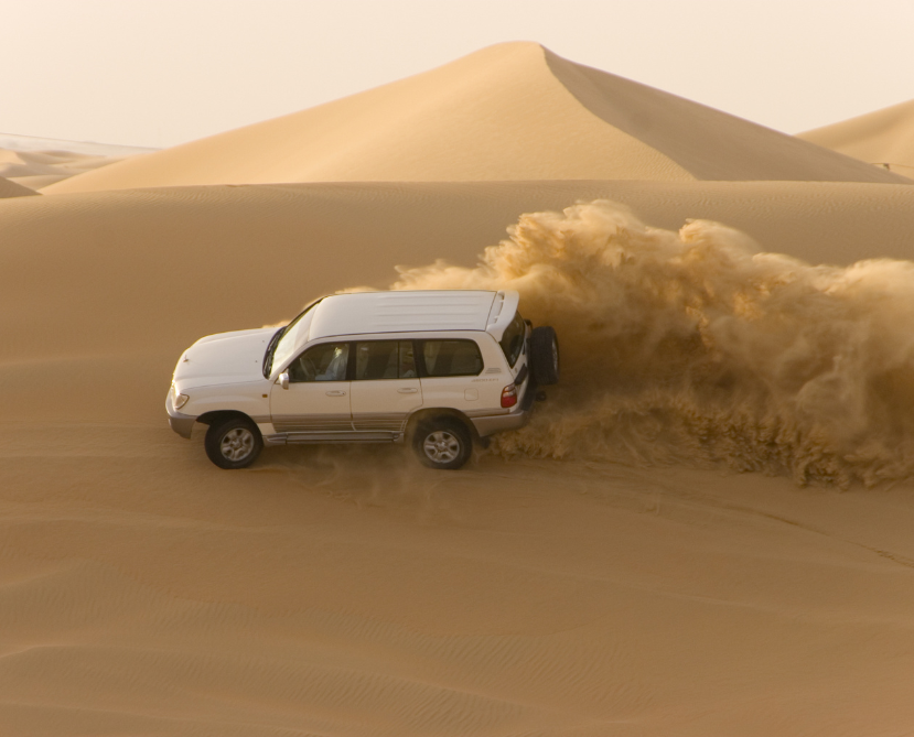 Desert Safari